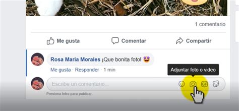 Tips Para Comentar Publicaciones En Facebook Mayores Conectados