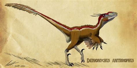 Deinonychus By Imapuniverse On Deviantart