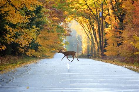 15 awesome fall activities in wisconsin usa paulina on the road