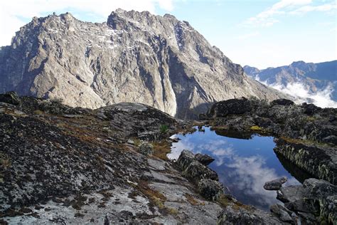 Highlights Of The Rwenzori Mountains Jontynz Tales From Around The