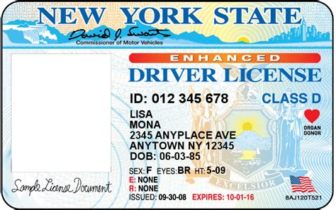 New York Drivers License Id Card Template Drivers License Card Template