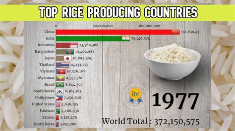 Top 15 Rice Producing Countries In The World Youtube