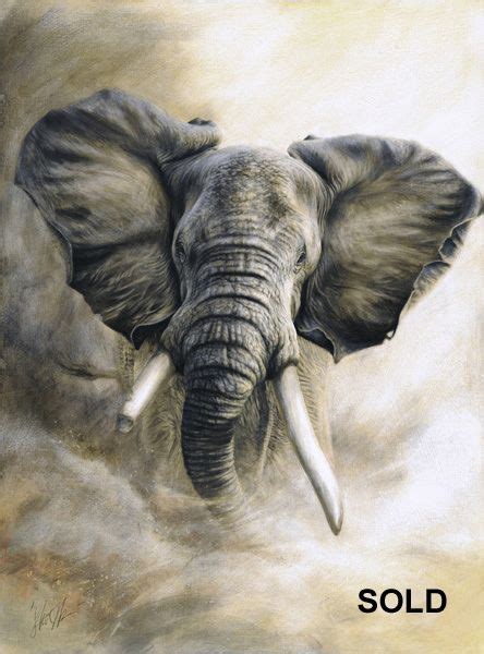 Steve Morvell Australian Wildlife Artist Charcoal Engraving Painting