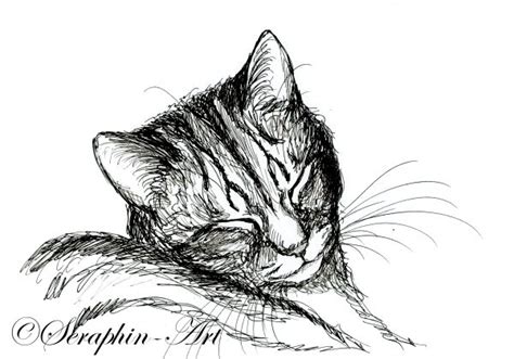 Cat Ink Drawing At Explore Collection Of Cat Ink