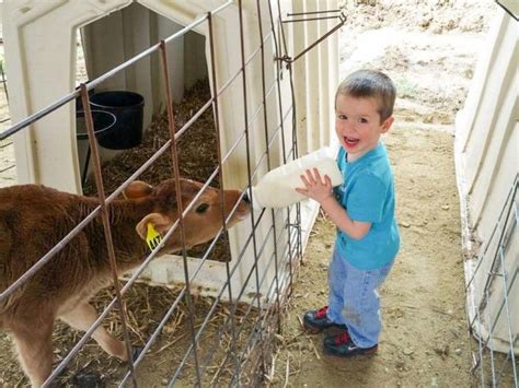 This Ice Creamery And Petting Zoo Is A North Carolina Dream Come True