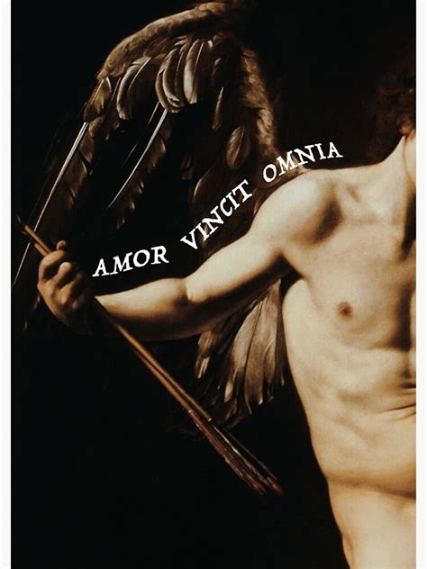 Amor Vincit Omnia Love Conquers All Sticker For Sale By