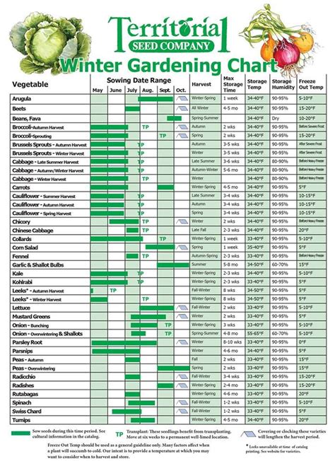 Winter Garden Chart Fall Garden Vegetables Garden Layout Vegetable