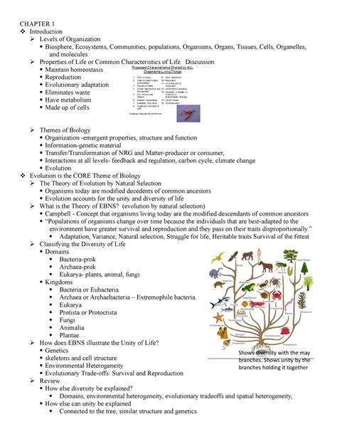 Bio Notes Organismal Biology Chapter 1 Introduction Levels Of