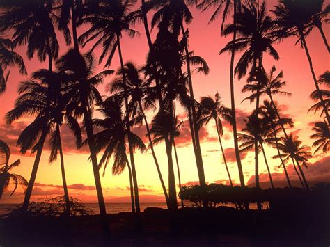 41 Hawaiian Sunset Wallpaper