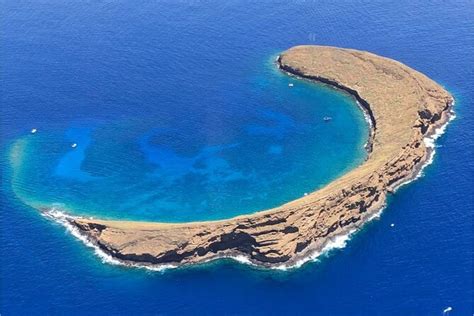 Maui Molokini Crater And Turtle Town Half Day Snorkeling Trip
