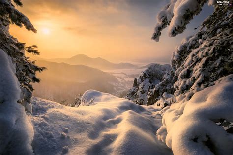 Snow Winter Viewes Great Sunsets Trees Mountains Beautiful Views