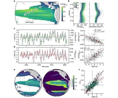 Satellite Data Offers New Insights Into Phytoplankton