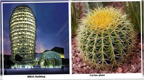 10 Nature Inspired Architectural Designs - YouTube