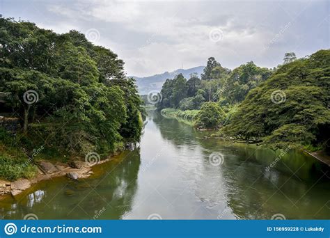 A Part Of The Mahaweli River Stock Photo Image Of Lanka