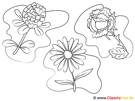 Ausmalbilder blumen 09 ausmalbilder zum ausdrucken. Bilder zum Malen und Ausdrucken Blumen