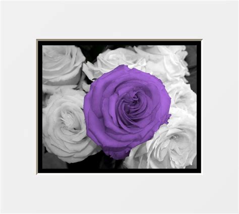 Black And Purple Wall Art Modern Black And White Purple Roses Wall