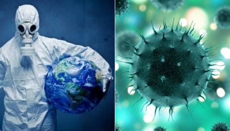 ¿cuál Es La Diferencia Entre Pandemia Epidemia Y Endemia El Gráfico