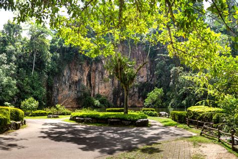 Measuring at approximately 11.13 km2, bukit batok ranks the 25th, 12th & 11th in terms of size, population & density respectively. 4 Places To Visit In Bukit Batok On Your 2021 Singapore Trip