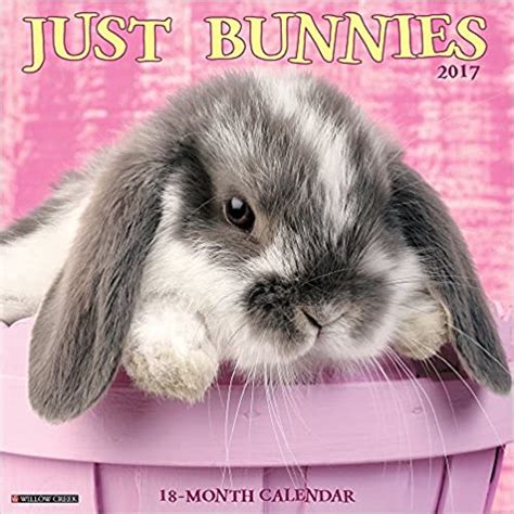 New Years 2017 Bunny Rabbit Wall Calendars Easter Wikii