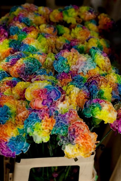 We would like to show you a description here but the site won't allow us. Blog | Unicorn wedding, Rainbow roses, Most beautiful flowers