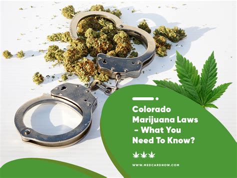 Maybe you would like to learn more about one of these? Med Card Now: Colorado Marijuana Laws - What You Need to Know