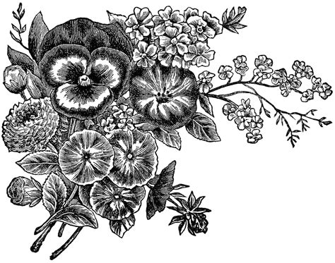 Black And White Clipart Images Of Flowers Image To U