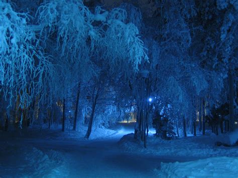 Cold Winter Night Background