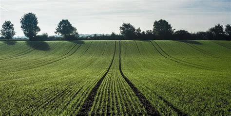Boxing, the poor man's sport, has long given kids from america's roughest neighborhoods an opportunity to esca. Dilepix, l'outil qui veille sur les champs et les élevages ...