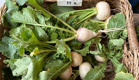 What Do Turnips Actually Taste Like Exploring Their Flavor