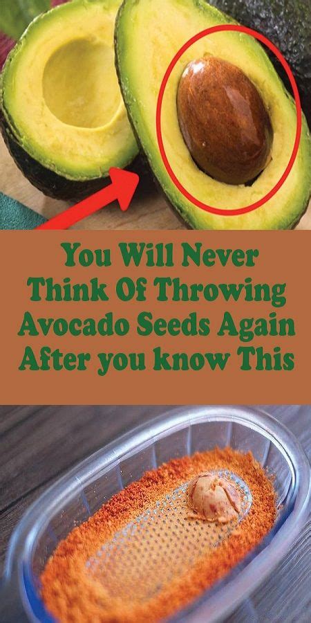 You Will Never Think Of Throwing Avocado Seeds Again After You Know