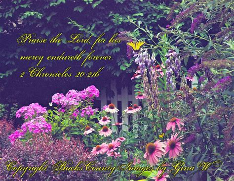 Quotes About Summer Gardens Quotesgram