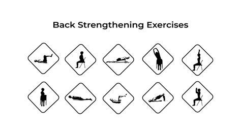 Back Strengthening Exercises Statcardiologist