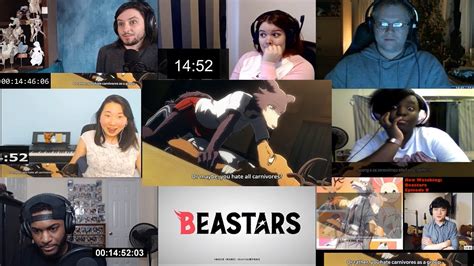 Beastars Episode 8 Reaction Mashup Youtube