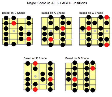 Caged System The Major Scale