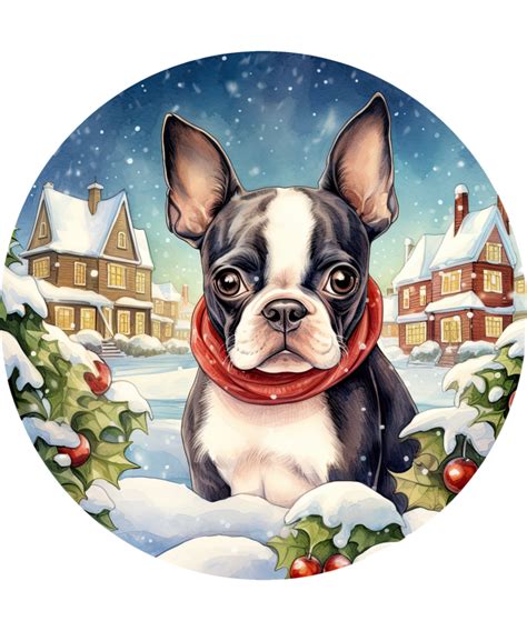 Boston Terrier Dog 35307795 Png