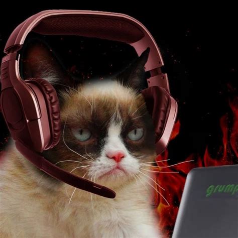 Grumpy Cat Gamer Youtube