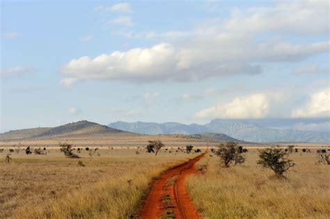 Savannah Landscape In The National Park In Kenya Africa Landscape