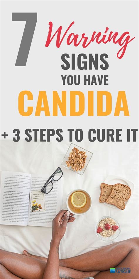 Candida Symptoms Candida Yeast Candida Cleanse Cleanse Diet Candida