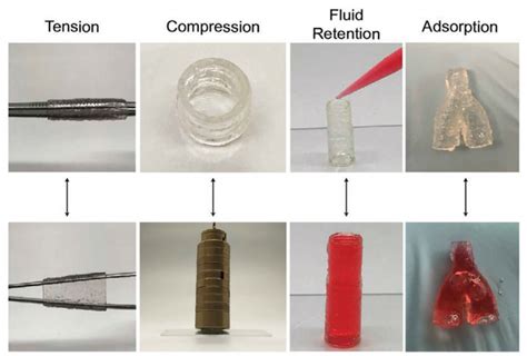 Texas Researchers Develop New Bioink Specifically For 3d Bioprinting