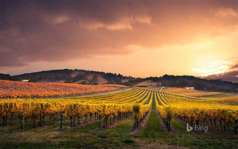 Australie Adelaide Hills Vineyard 2020 Bing Desktop Aperçu