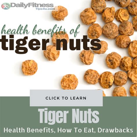 Health Benefits Of Tiger Nuts How To Eat Where To Buy Drawbacks