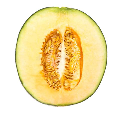 Melon Fruit Slice Stock Photo Image Of Melon Nature 42069522