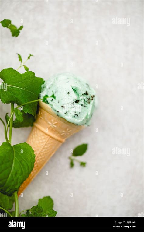 Mint Choc Chip Ice Cream Stock Photo Alamy