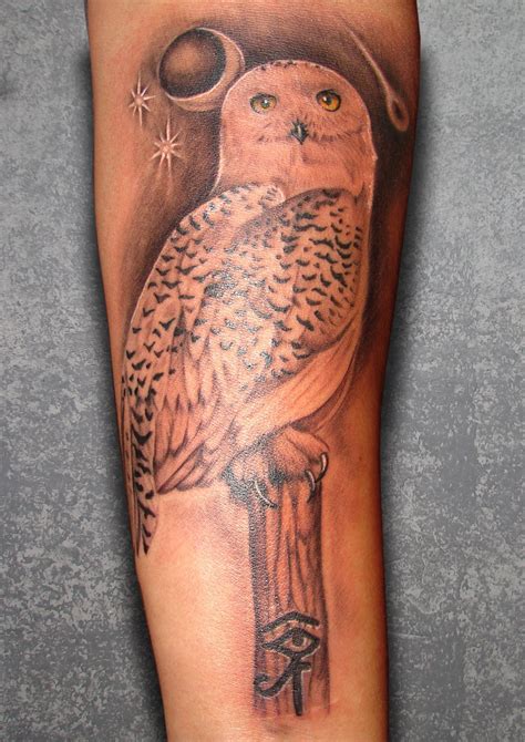 Snowy Owl Snow Owl Tattoo Snowy Owl