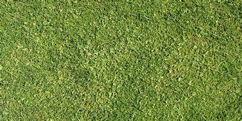Best Ways To Putt On All Types Of Grasses
