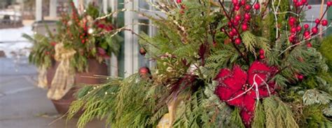 Christmas Container Gardening Salisbury Greenhouse Blog
