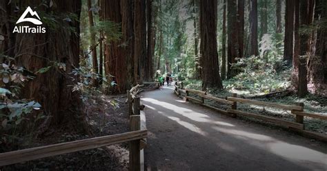 Best Trails In Muir Woods National Monument California Alltrails