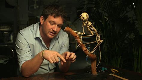 Bbc Four Secrets Of Bones Food For Thought In Pictures Food For Thought Aye Aye Skeleton