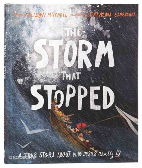 The Storm That Stopped Book Reviews For Kids True Stories Christian