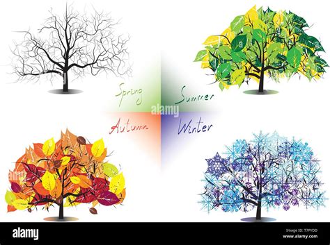 Four Seasons Trees Stock Vector Image And Art Alamy